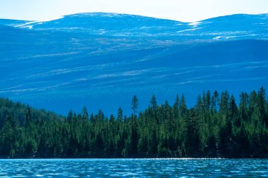 Berrak sularla, yemyeşil çam ormanlarıyla, karlı tepelerle ve uzaklardaki dağlarla vahşi doğanın sakin manzarası. Yüksek kalite fotoğraf