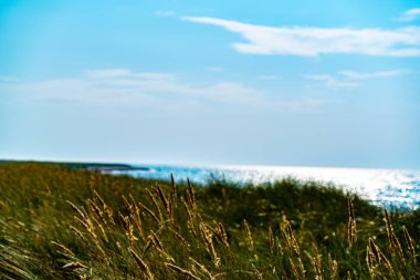 İskandinavya 'da kumlu, otlu, yosunlu ve kum tepeli güzel klasik bir plaj. Arka plan bulanık. - Evet. Yüksek kalite fotoğraf