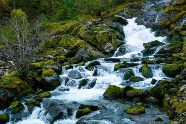 Krásný Vodopád Protékající Lesem Bujných Podzimních Barvách Zelených Žlutých Odstínů — Stock fotografie