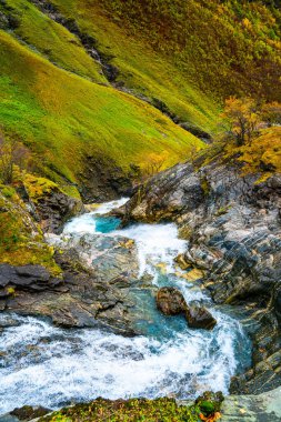Vahşi ve kıvrımlı şelale, yemyeşil sonbahar renkleriyle bir dağ yamacından aşağı akıyor. - Evet. Yüksek kalite fotoğraf