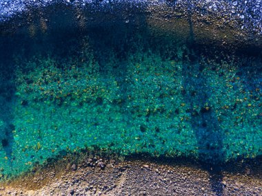 Kuşların gözü açık bir zümrüt yeşil ve mavi dağ nehrine bakıyor. - Evet. Yüksek kalite fotoğraf