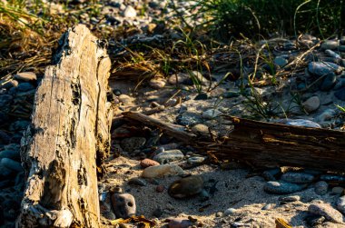 Sahilde oturan eski parçalanmış bir tahta parçası. - Evet. Yüksek kalite fotoğraf