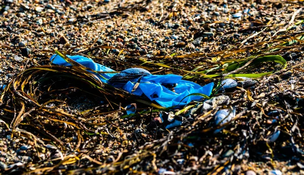 Plajda Lastik Eldiven Kullanmış Korona Virüsü Salgınından Kaynaklanan Kirlilik Belirtisi — Stok fotoğraf