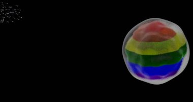 LGBT hakları bayrağı renkleriyle insan yumurtasına yüzen spermler, LGBT toplumunun ebeveynlik haklarını temsil ediyor. Siyah arkaplanda 3D canlandırılmış video.