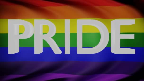 Letras Orgullo Con Bandera Del Orgullo Lgbt Ondeando Fondo Renderizar — Vídeos de Stock