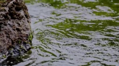 Yürüyüşçülerin yavaş hareketleri bir bardağı saf nehir suyuyla doldurur.. 