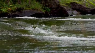 Ormandaki küçük bir nehirden akan su.... 