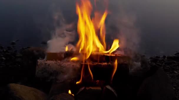 Caldeira Aço Água Fervente Fogo Acampamento Perto Lago Durante Noite — Vídeo de Stock