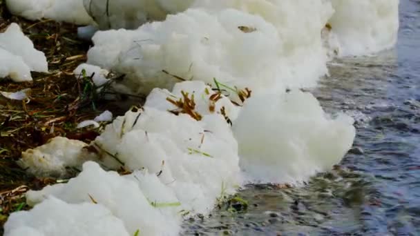 海滩上形成的泡沫 由海水中的有机物制成的强粘性浮液物质 — 图库视频影像