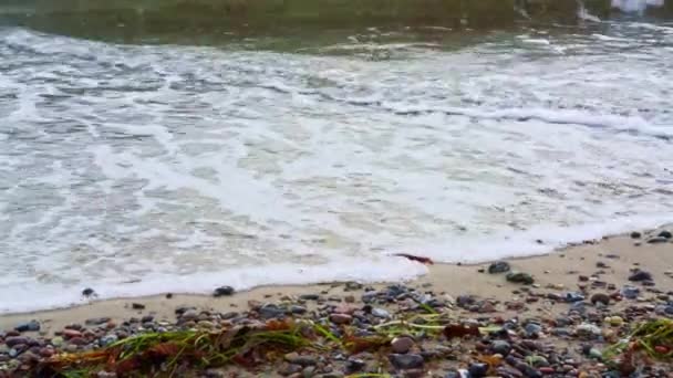 Lugn Vågor Kraschar Strand Med Sand Småsten Och Alger Närbild — Stockvideo