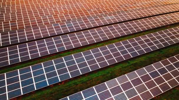 Granja Energía Solar Campo Hierba Con Filas Paneles Modernos Que — Vídeos de Stock