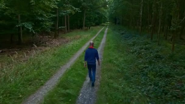 Homem Andando Uma Estrada Terra Uma Floresta Verde Exuberante Aéreo — Vídeo de Stock