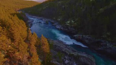 Vahşi ve hızlı akan bir nehrin havadan görünüşü.