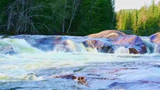 Brede Rivier Met Stroomversnellingen Grote Rotsblokken Achtergrond Een Weelderig Groen — Stockvideo