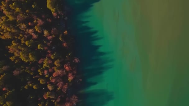 Widok Góry Dół Góry Malowniczego Turkusowego Jeziora Borealnego Lasu Jesiennych — Wideo stockowe