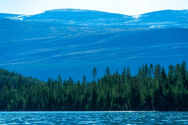 Berrak sularla, yemyeşil çam ormanlarıyla, karlı tepelerle ve uzaklardaki dağlarla vahşi doğanın sakin manzarası. Yüksek kalite fotoğraf