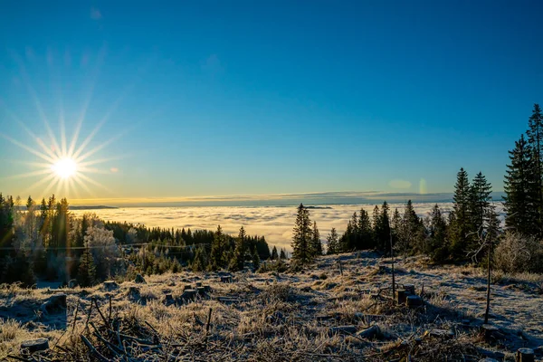 Fryst Skog Bergen Ovanför Molnen Och Dimma Solig Vinterdag Högkvalitativt — Stockfoto