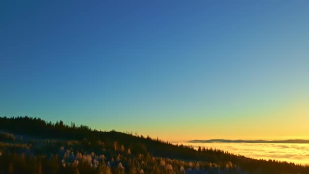 Vue Imprenable Sur Une Vallée Remplie Brouillard Dense Dans Coucher — Video