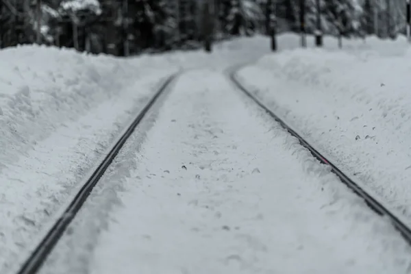 冬の半ばに雪に覆われた鉄道線路 高品質の写真 — ストック写真