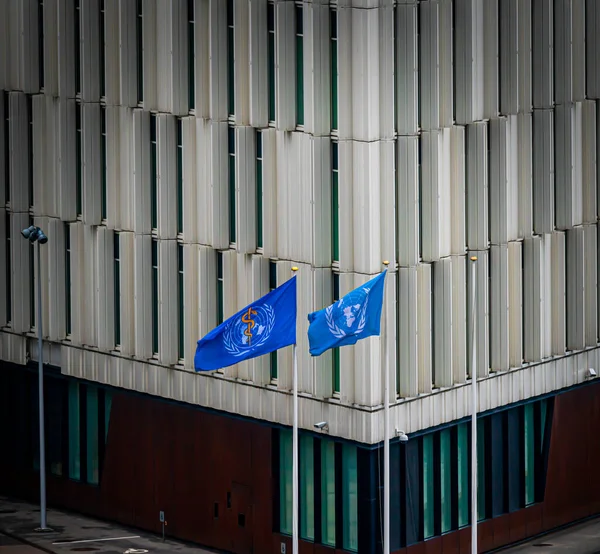 Флаги Воз Оон Размахивающие Ветром Возле Штаб Квартиры Копенгагене Высокое — стоковое фото