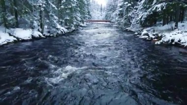 Soğuk nehir karla kaplı bir ormanlık alanda akıyor..