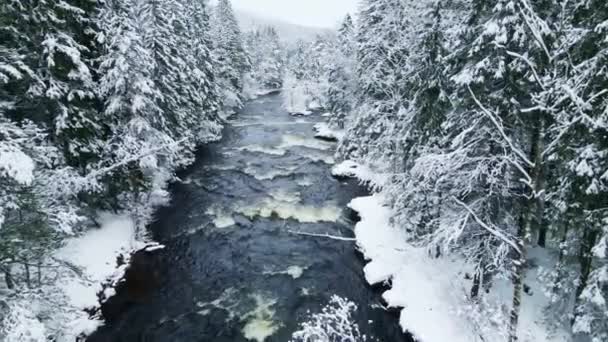 Wilde Natuurlijke Rivier Stroomt Door Een Besneeuwd Bos Koude Poolwinter — Stockvideo