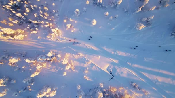 Folk Ute Och Åker Längdskidor Ett Snöigt Vinterland — Stockvideo