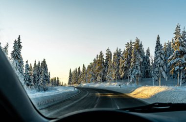 Kış ormanlarında kaygan ve buzlu bir otoyolda araba kullanmak. Sürücü perspektifi, bulanık ön plan. Yüksek kalite fotoğraf