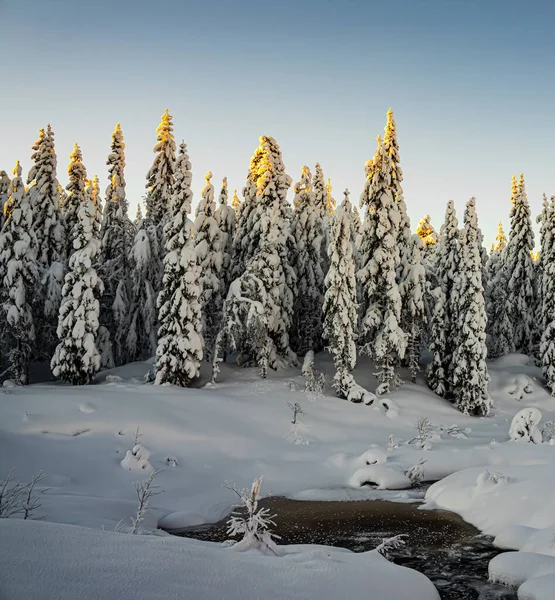 Bosque Nórdico Salvaje Arroyo Cubierto Nieve Pesada Medio Del Invierno —  Fotos de Stock