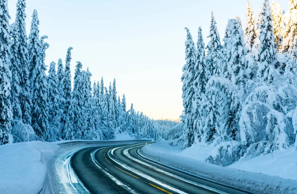 Icy and slippery highway through a forest with pine trees covered in heavy white snow. High quality photo