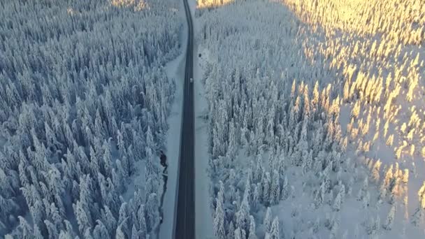 Samochody Jadące Autostradzie Pokrytym Śniegiem Zimowym Krajobrazie — Wideo stockowe