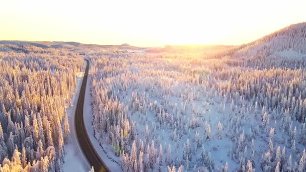 Auto Che Guidano Autostrada Paesaggio Invernale Innevato Tramonto — Video Stock