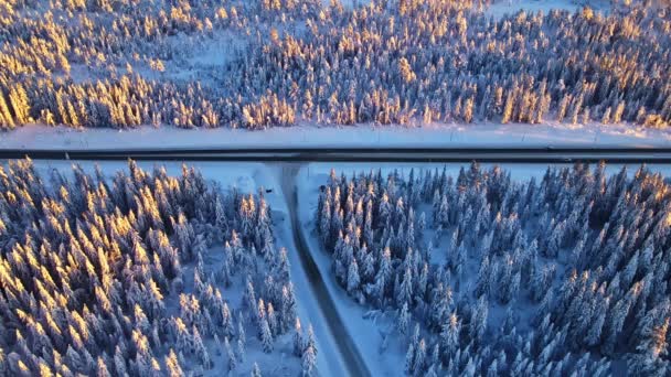 冬の山道の雪に覆われた森の中を車で行く高速道路 — ストック動画