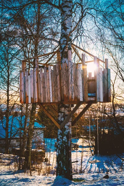 Trädhus Ett Stort Träd Med Gunga Och Stege Fotografera Vintern — Stockfoto