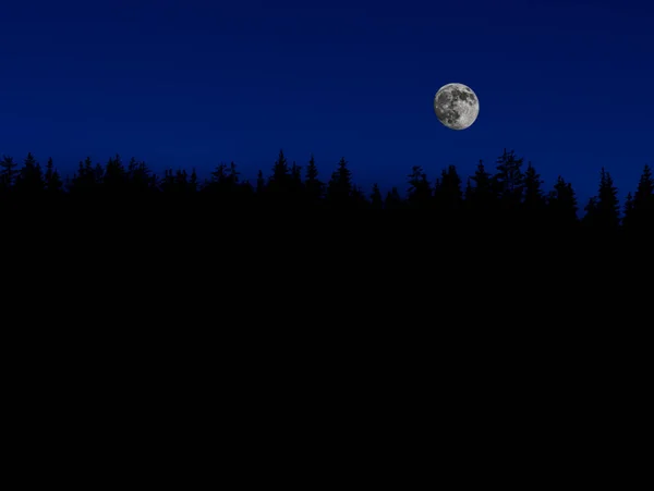 Lua Cheia Céu Azul Escuro Sobre Topos Das Árvores Floresta — Fotografia de Stock