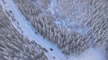 Karla kaplı bir dağ yolunda kış yolculuğu. Şiddetli karla kaplı ağaçlarla hava manzarası. 