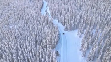 Karla kaplı bir dağ yolunda kış yolculuğu. Şiddetli karla kaplı ağaçlarla hava manzarası. 