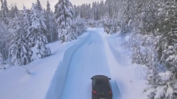 Czarny Samochód Jadący Śnieżną Drogą Przez Zimowy Las — Wideo stockowe