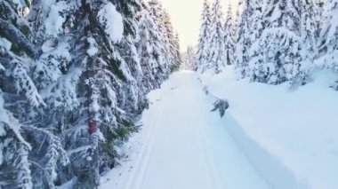 Güneşli bir öğleden sonra karla kaplı ağaçlarla kayak yapmak için kayak yapmak..