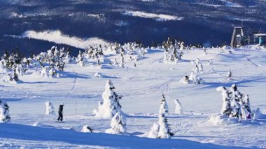 Kayakçılar güneşli bir günde büyük bir dağ kayak merkezinde kış tatilinin tadını çıkarıyorlar..