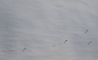 Top down view of skiers riding down an alpine skiing slope on a sunny winters day. High quality photo