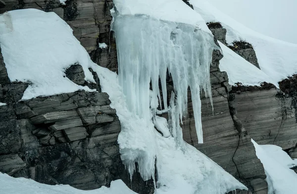 Massive Long Frozen Icicles Hanging Side Cliff Mountain Side Also — Stock Photo, Image