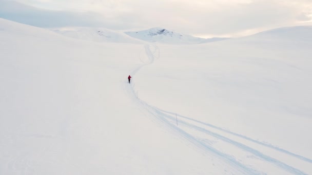 Esquiador Fondo Viajando Través Una Tundra Ártica Nevada Las Altas — Vídeos de Stock