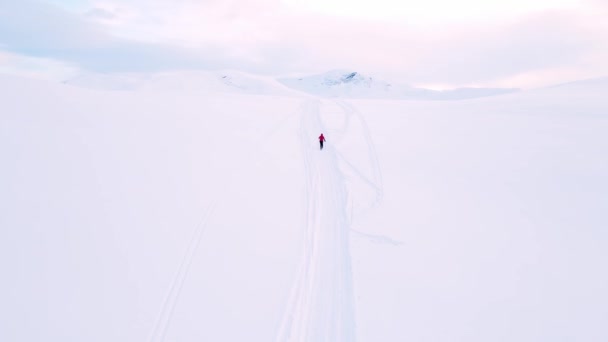 Cruze Esquiador País Viajando Através Uma Tundra Ártica Nevada Nas — Vídeo de Stock