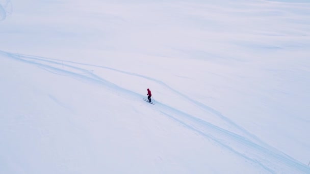 Cruze Esquiador País Viajando Através Uma Tundra Ártica Nevada Nas — Vídeo de Stock