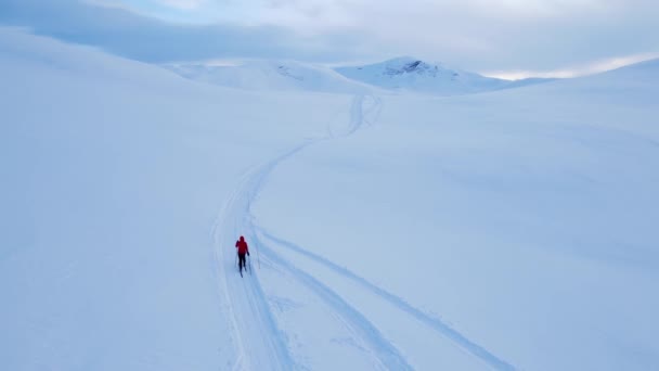 寒い冬の日に高い山の中で雪に覆われた北極のツンドラを横断するクロスカントリースキー — ストック動画