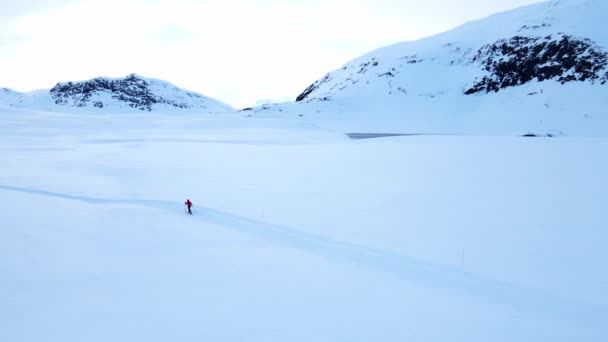 寒い冬の日に高い山の中で雪に覆われた北極のツンドラを横断するクロスカントリースキー — ストック動画