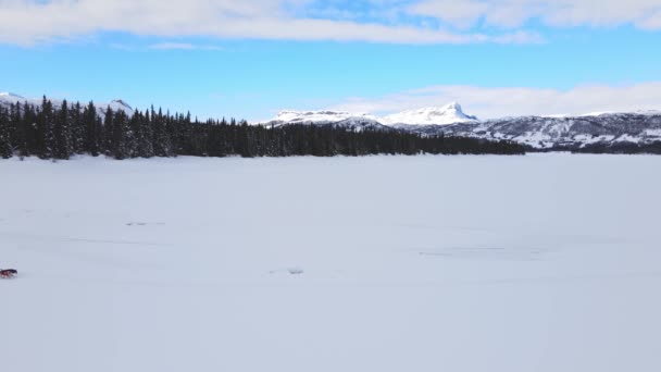 Gente Conduciendo Trineo Tirado Por Huskies Alaska Lago Nevado Congelado — Vídeos de Stock