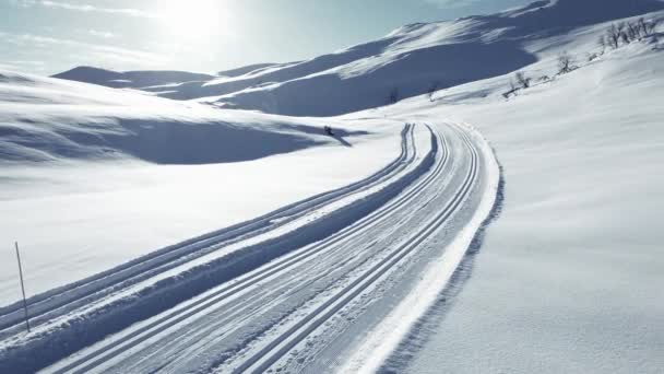 Atravesse Pistas Esqui País Através País Das Maravilhas Inverno Montanha — Vídeo de Stock