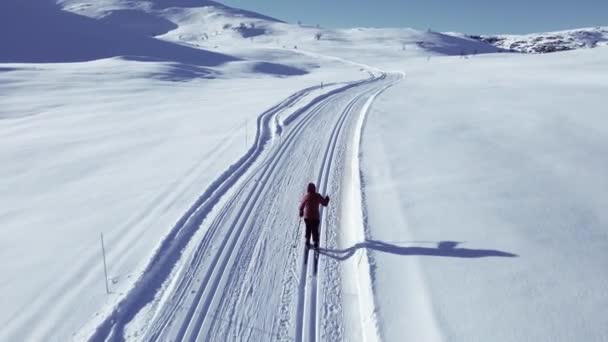 寒い冬の日には 野生の雪の山の荒野を通って斜面でクロスカントリースキーをする人 — ストック動画
